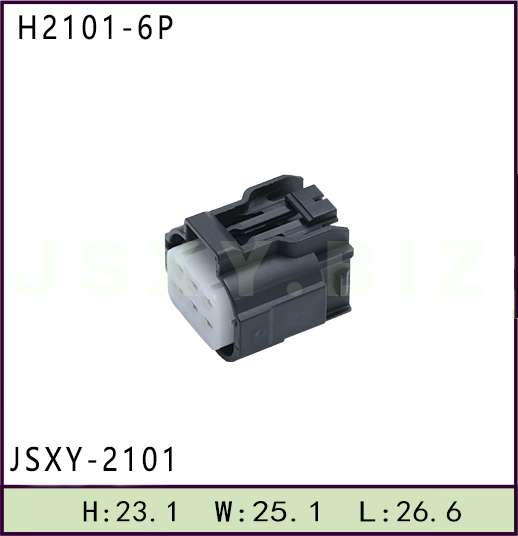 JSXY-H2101-6P