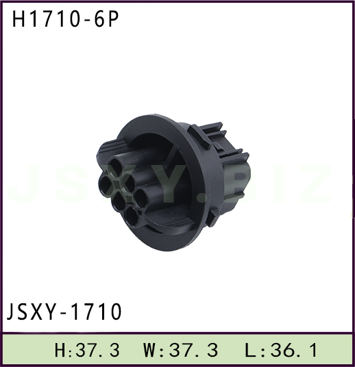 JSXY-H1710-6P