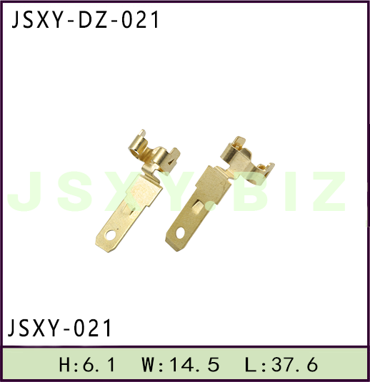 JSXY-DZ-021