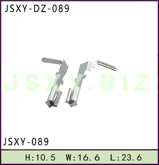 JSXY-DZ-089