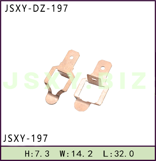 JSXY-DZ-197